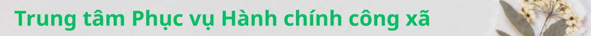 image advertisement
